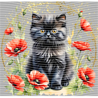 Animal Integration-DW 266